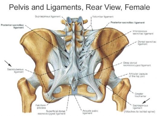 Ekstrarenal Pelvis Tedavisi