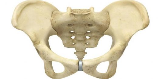 Pelvis Türleri ve Özellikleri